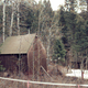 Imagen: La cabaña construida por Kaczynski. AP